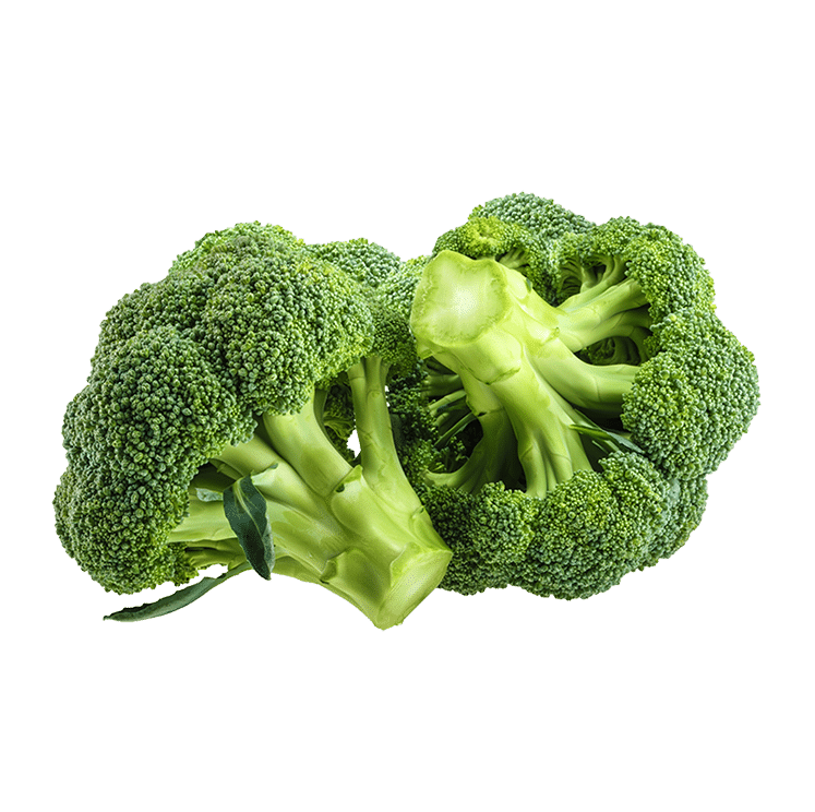 Broccoli Powder - AOR