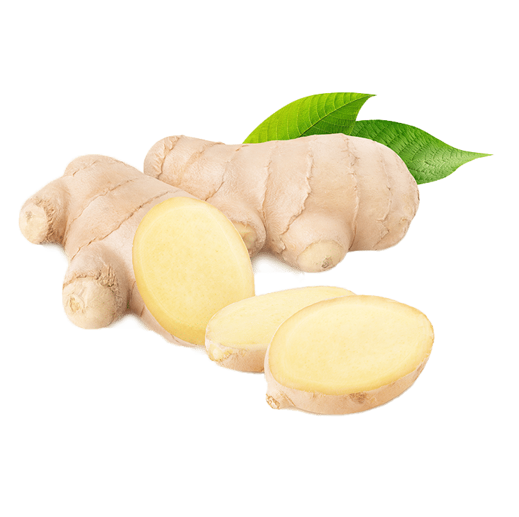 Ginger Extract - AOR