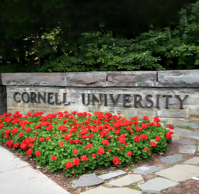 Research Collaborations - Cornell Univesity - AOR
